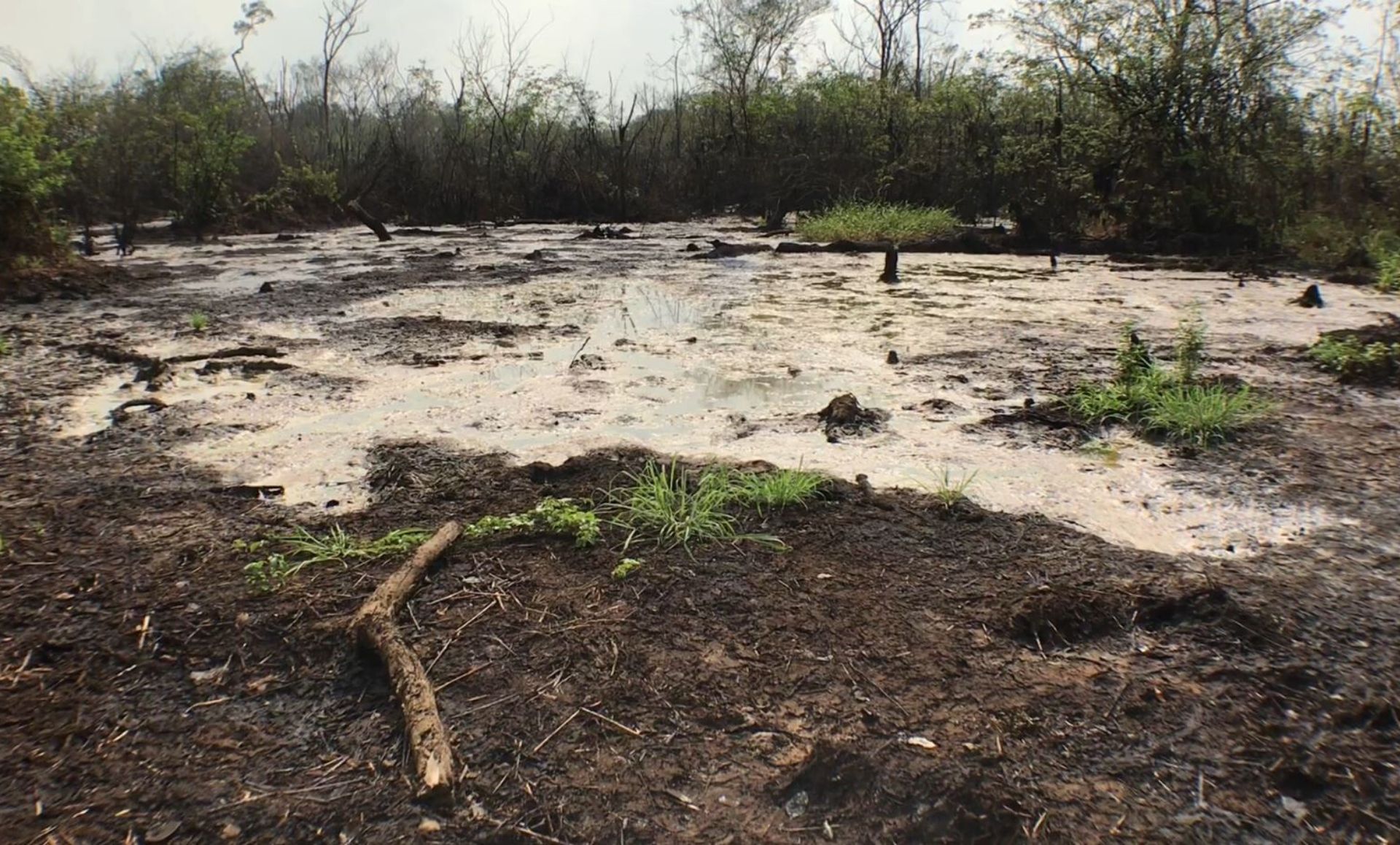 Omoku oil spill