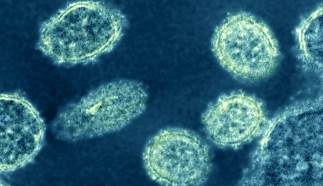 New Flu