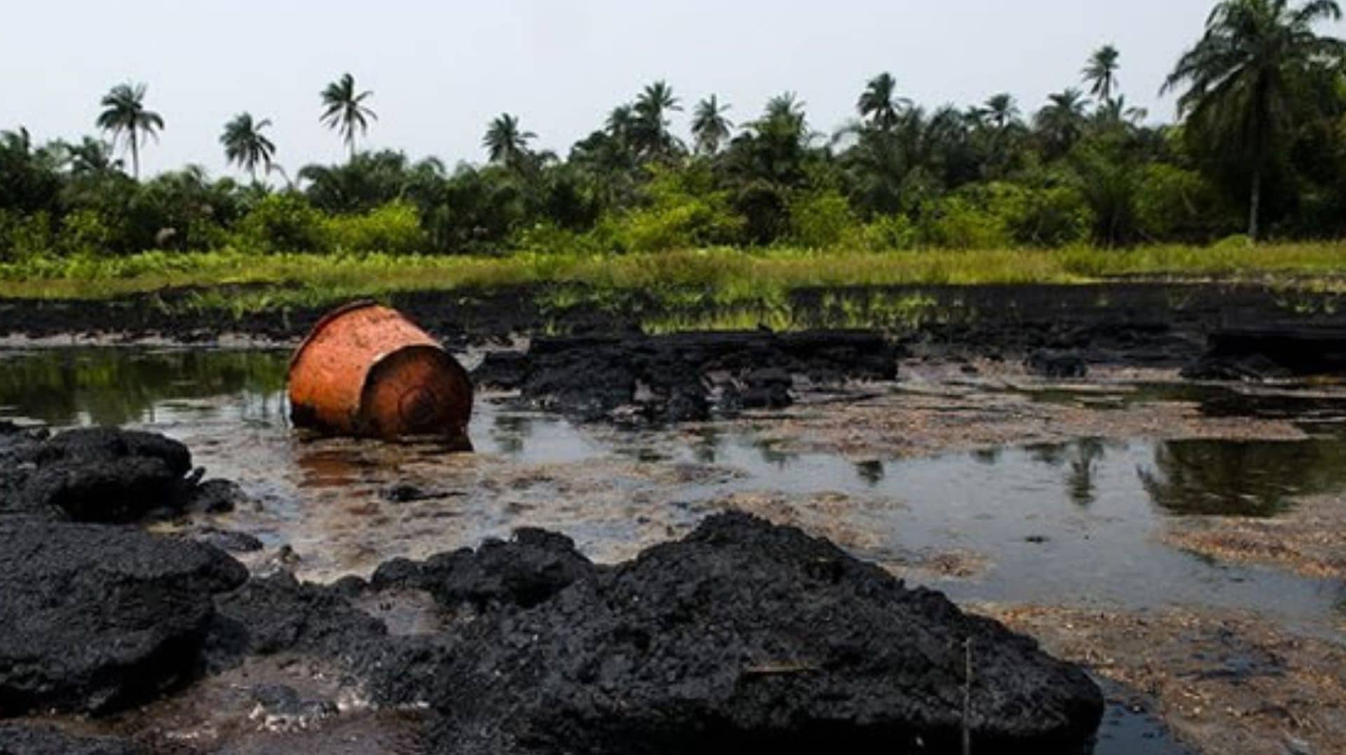Ogoni
