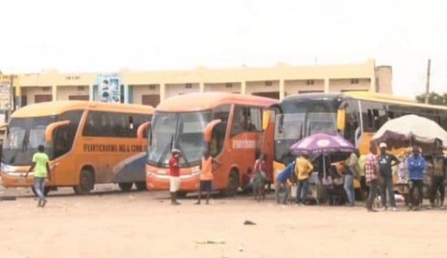buses
