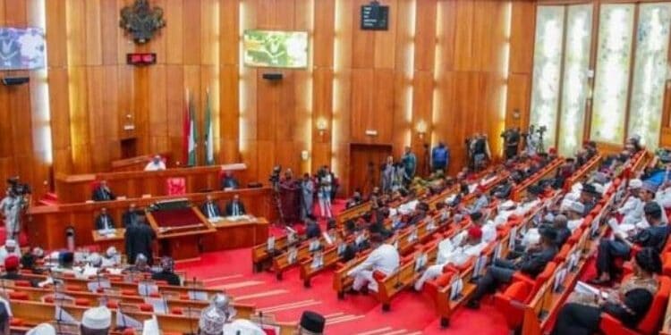 Plenary of the Nigerian Senate