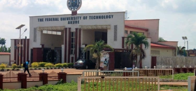 Non Academic Staff of Federal University Of Technology Akure joins ...