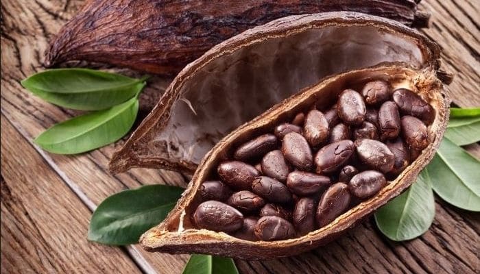 `COCOA
