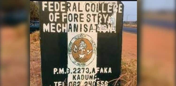 Govt. Plans Relocation Of Federal College Of Forestry To Safer Location |  AIT LIVE