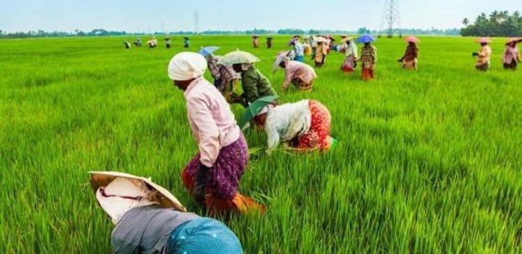 Untitled design 17 1