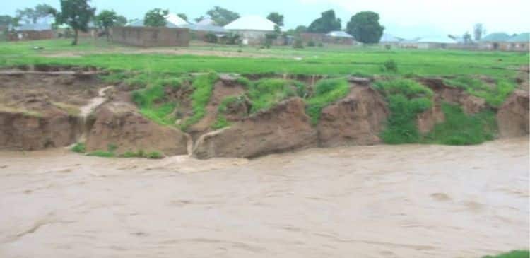 Untitled design 18 5