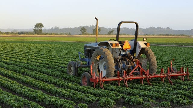 Farm Farm