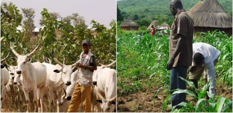 farmer-herder
