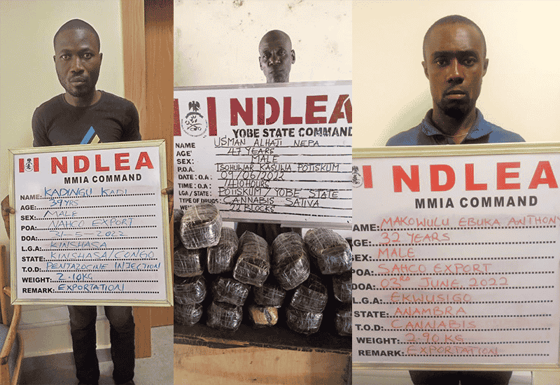 Illicit Drugs: NDLEA Nabs US, Dubai Bound Congolese, Others | AIT LIVE