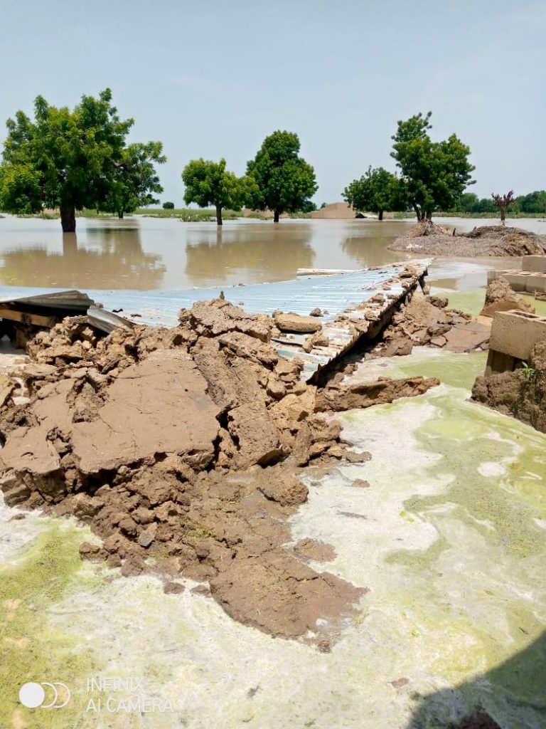 c43d62f9 cbdd 4cae 9534 28fb1d6892ac