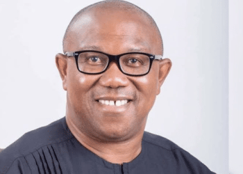Labour Party Presidential candidate, Peter Obi
