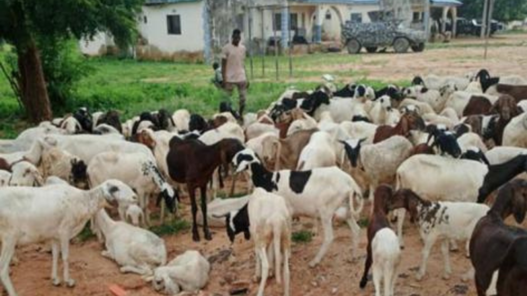 ait images 3 1 ait images 3 1