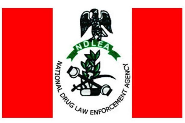 NDLEA
