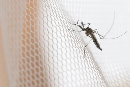 AIT-IMAGES - Malaria Prevention