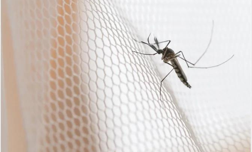 AIT-IMAGES - Malaria Prevention