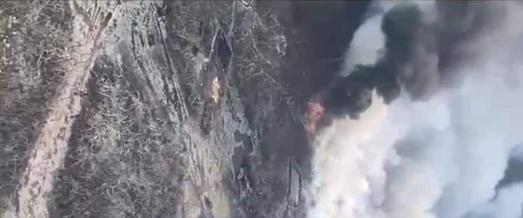 WhatsApp Image 2024 03 03 at 9.25.05 AM 1