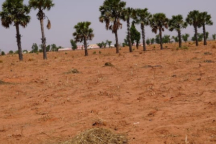 AIT-IMAGES - Land allocated by Kebbi State Government