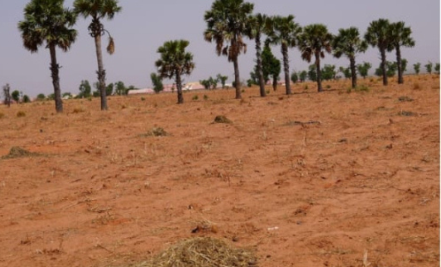 AIT-IMAGES - Land allocated by Kebbi State Government