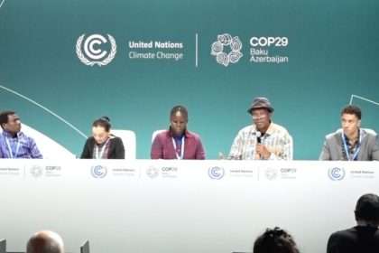 COP 29