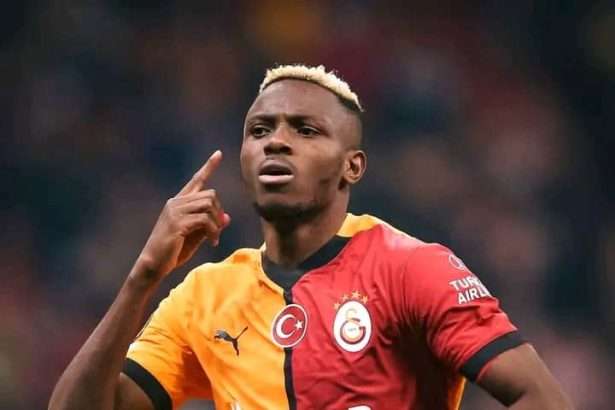 WhatsApp Image 2025 01 24 at 9.48.28 AM