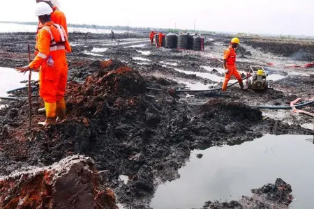 Ogoni clean up
