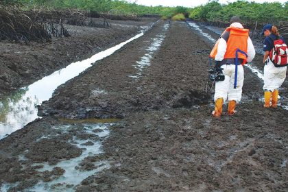 Ogoni cleanup