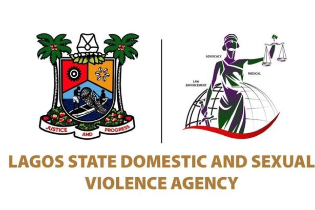 DSVA logo