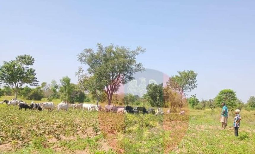 AIT IMAGES 1 17 AIT IMAGES 1 17