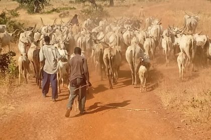 WhatsApp Image 2025 11 30 at 12.23.42 PM 1