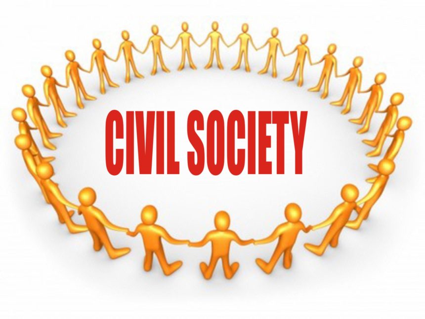 Civil Society Organisation CSO 1