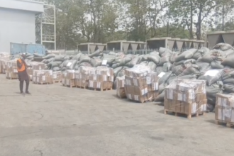 Screenshot 2026 02 19 at 13.03.26