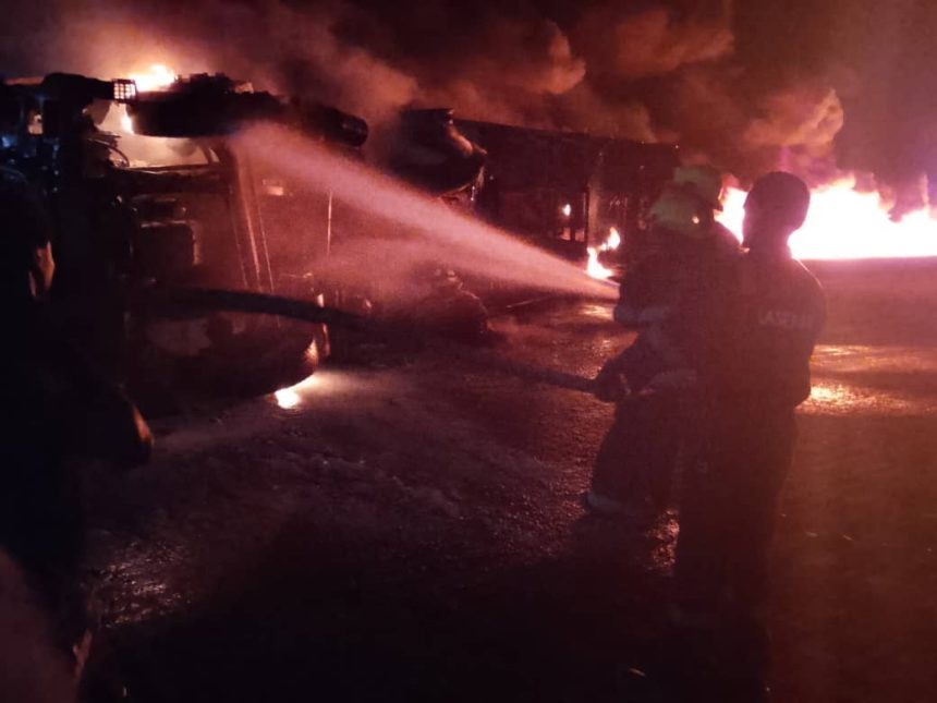 WhatsApp Image 2026 02 12 at 2.15.38 PM