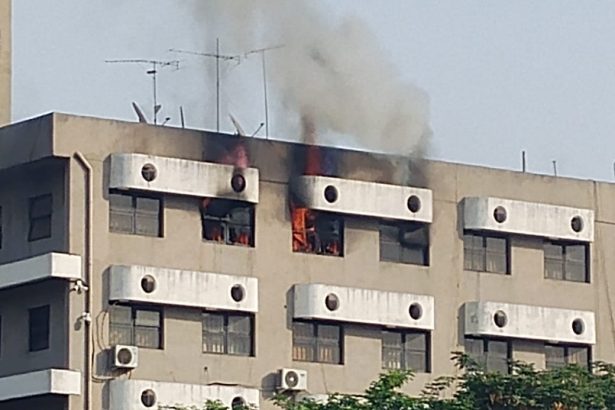 WhatsApp Image 2026 03 09 at 8.39.09 AM