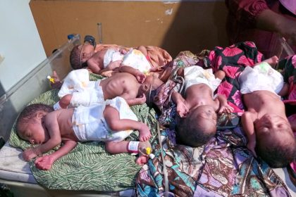 WhatsApp Image 2026 03 26 at 4.50.17 PM