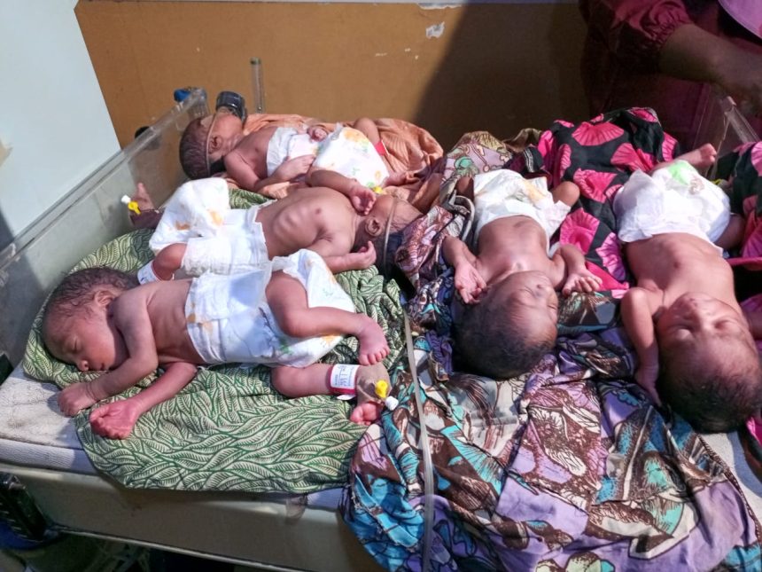 WhatsApp Image 2026 03 26 at 4.50.17 PM