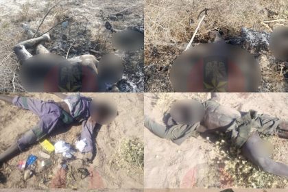 ae70fdd3 c990 4408 b185 c1b1523a1d01