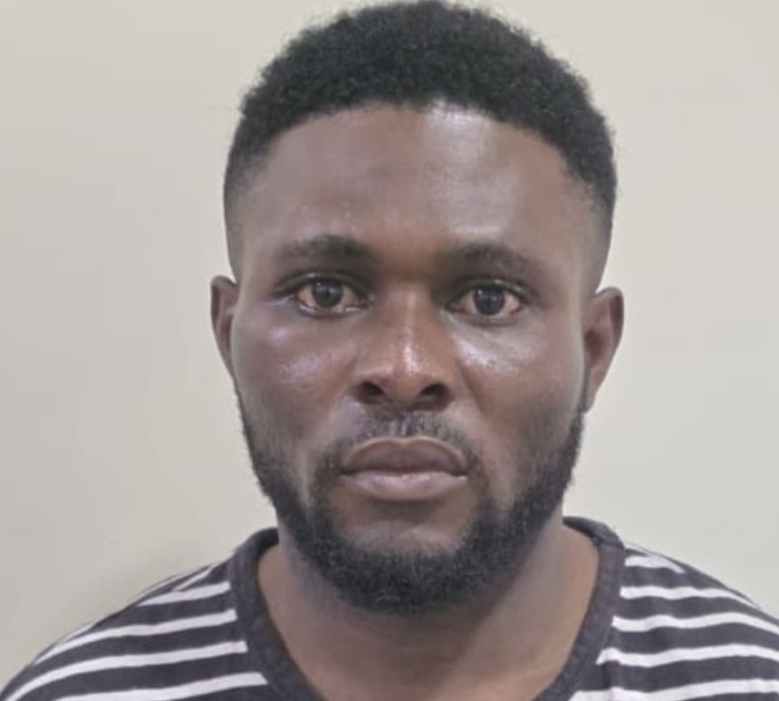 fe5ab30e 98f7 466a ad38 b6046a8034a9