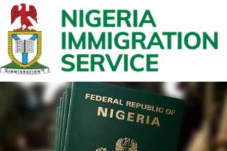 WhatsApp Image 2026 04 11 at 4.13.59 PM