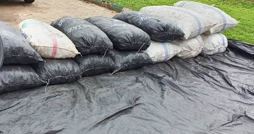 WhatsApp Image 2026 04 23 at 1.00.52 PM 1