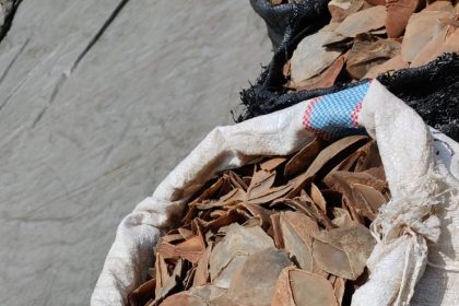 WhatsApp Image 2026 04 23 at 12.58.42 PM