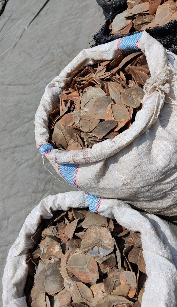 WhatsApp Image 2026 04 23 at 12.58.42 PM