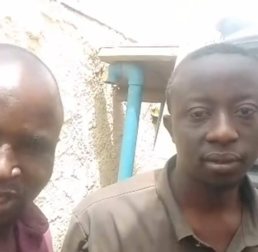 dcffb61d 9f9e 4893 9ec4 edc4f4fe5633