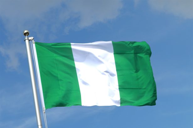 Nigeria flag